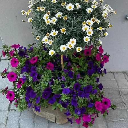 Haus Floralp * צרמט